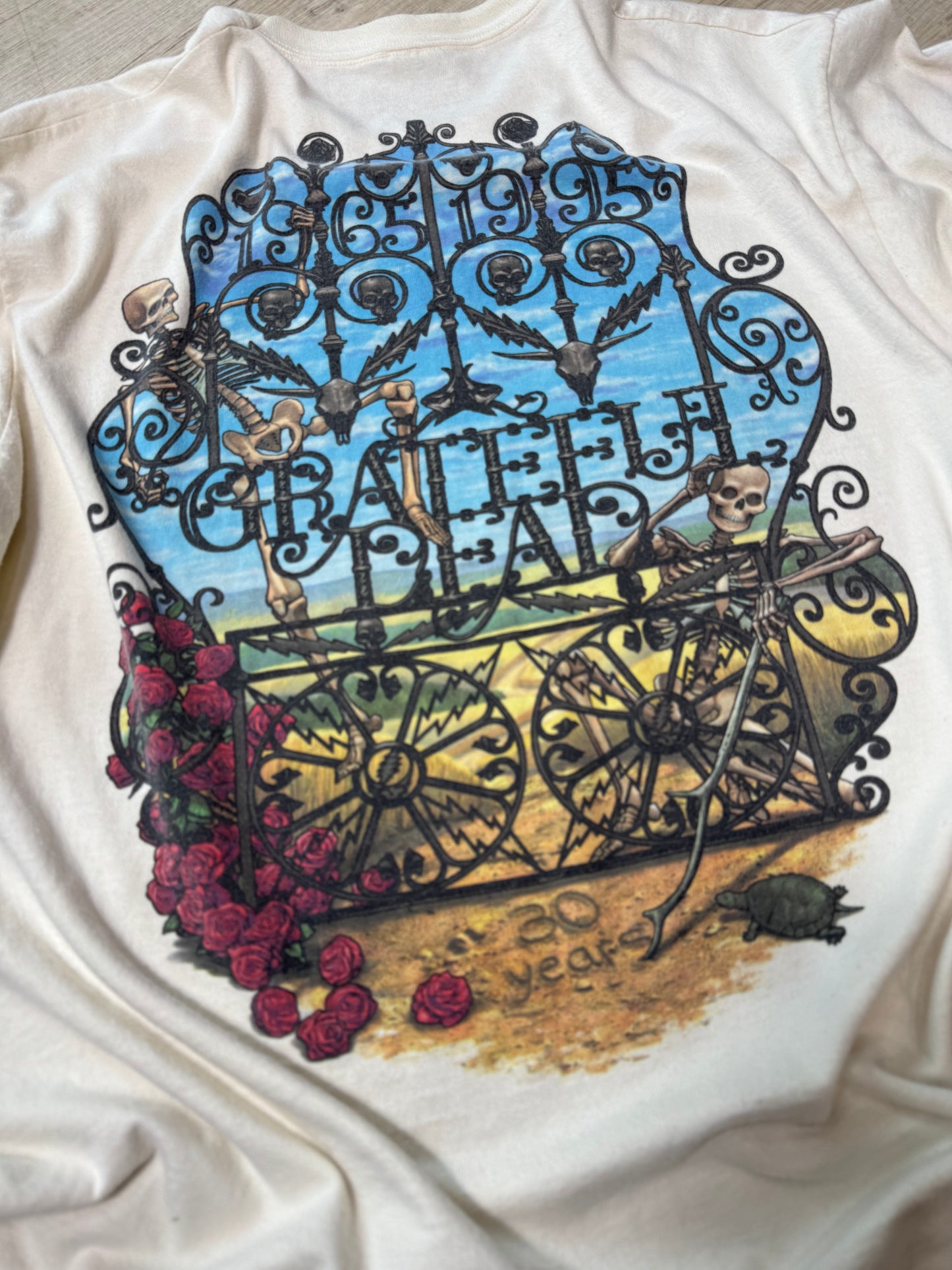 1995 Bertha: 30 Years XL