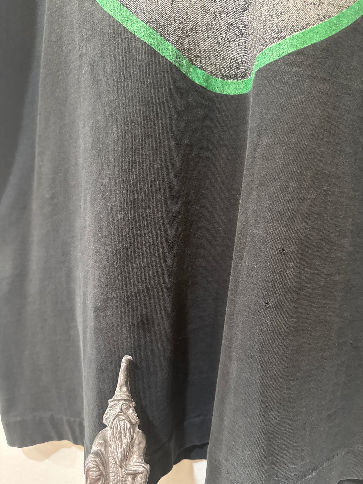 The Jesus Lizard
