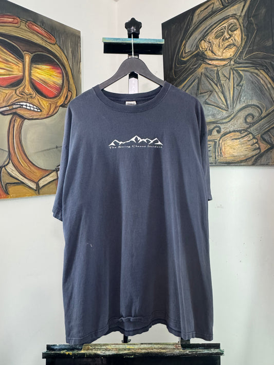 Navy String Cheese Incident Tee